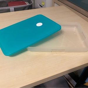 Thin Tupperware storage container
